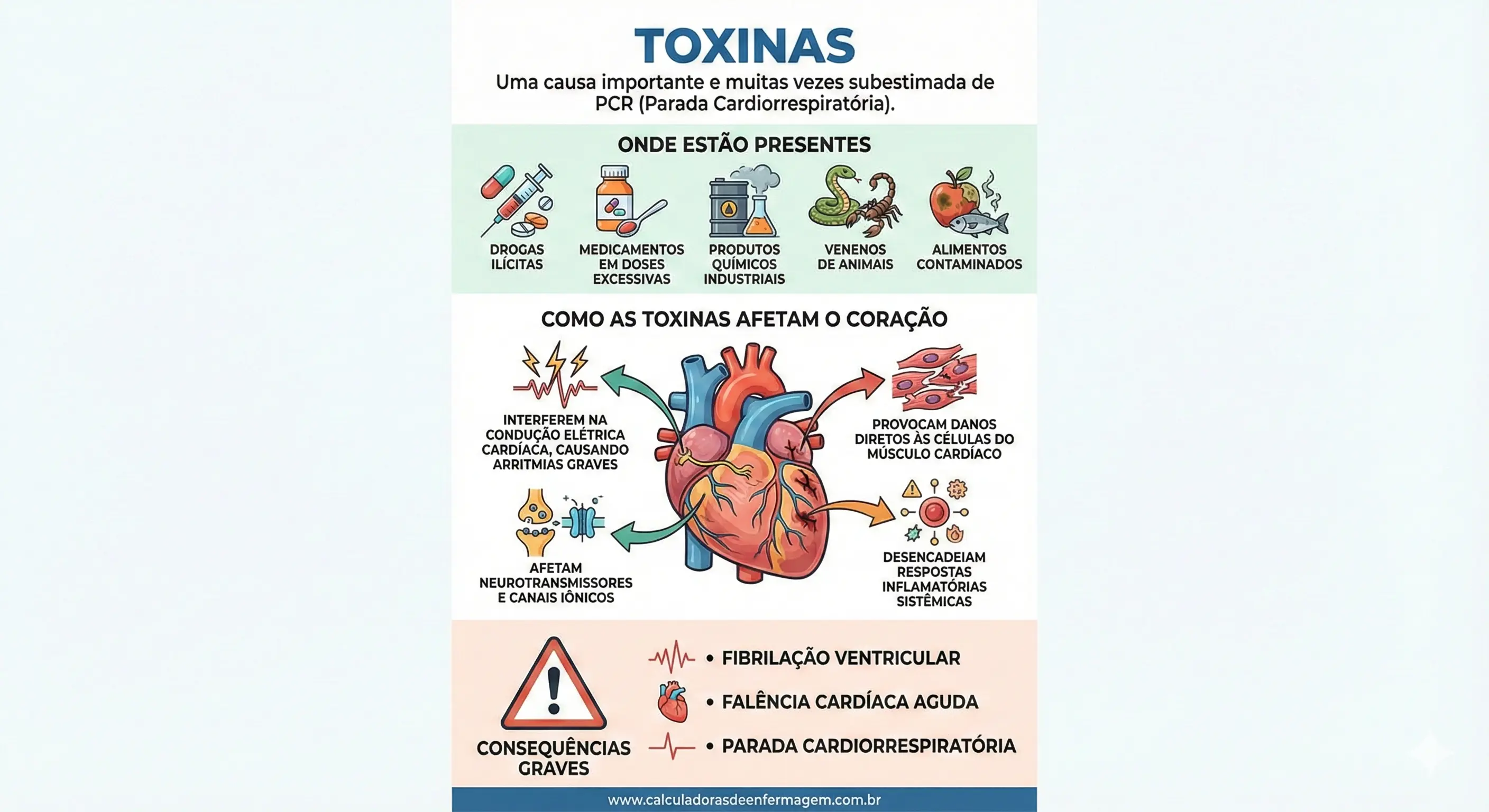5ts Toxinas